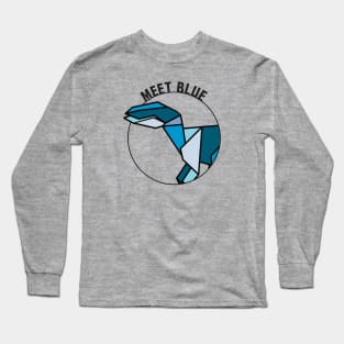 Meet Origami Blue Long Sleeve T-Shirt